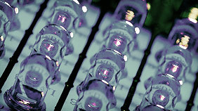 网站攻击软件工具