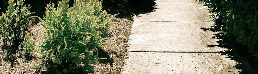 DDOS压力测试网页端